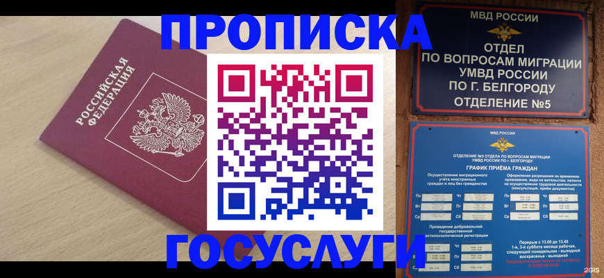 прописка законно в Лузе